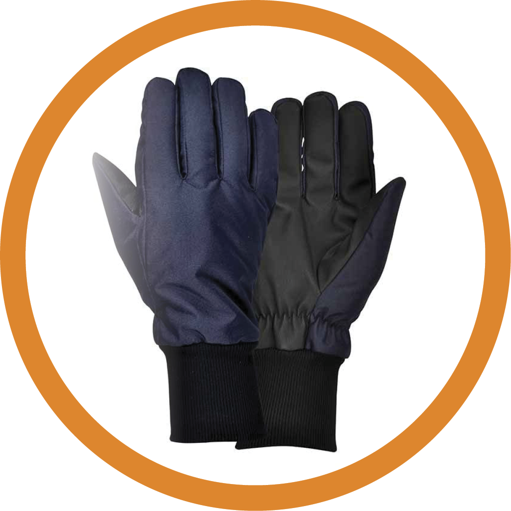 Cofra Thinsulate Lined Coldstore Glove